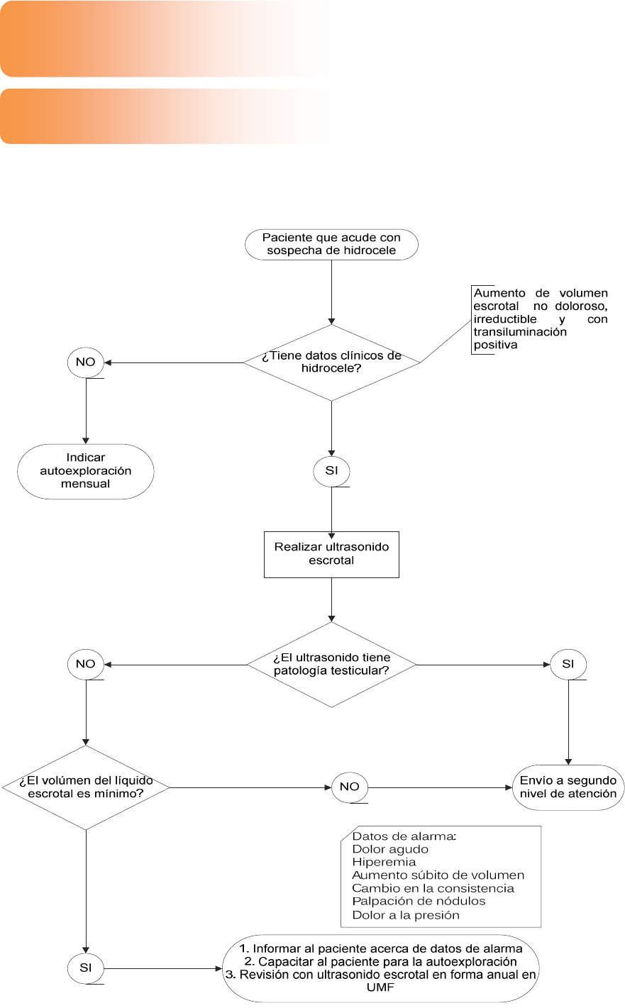 tratamiento de hidrocele