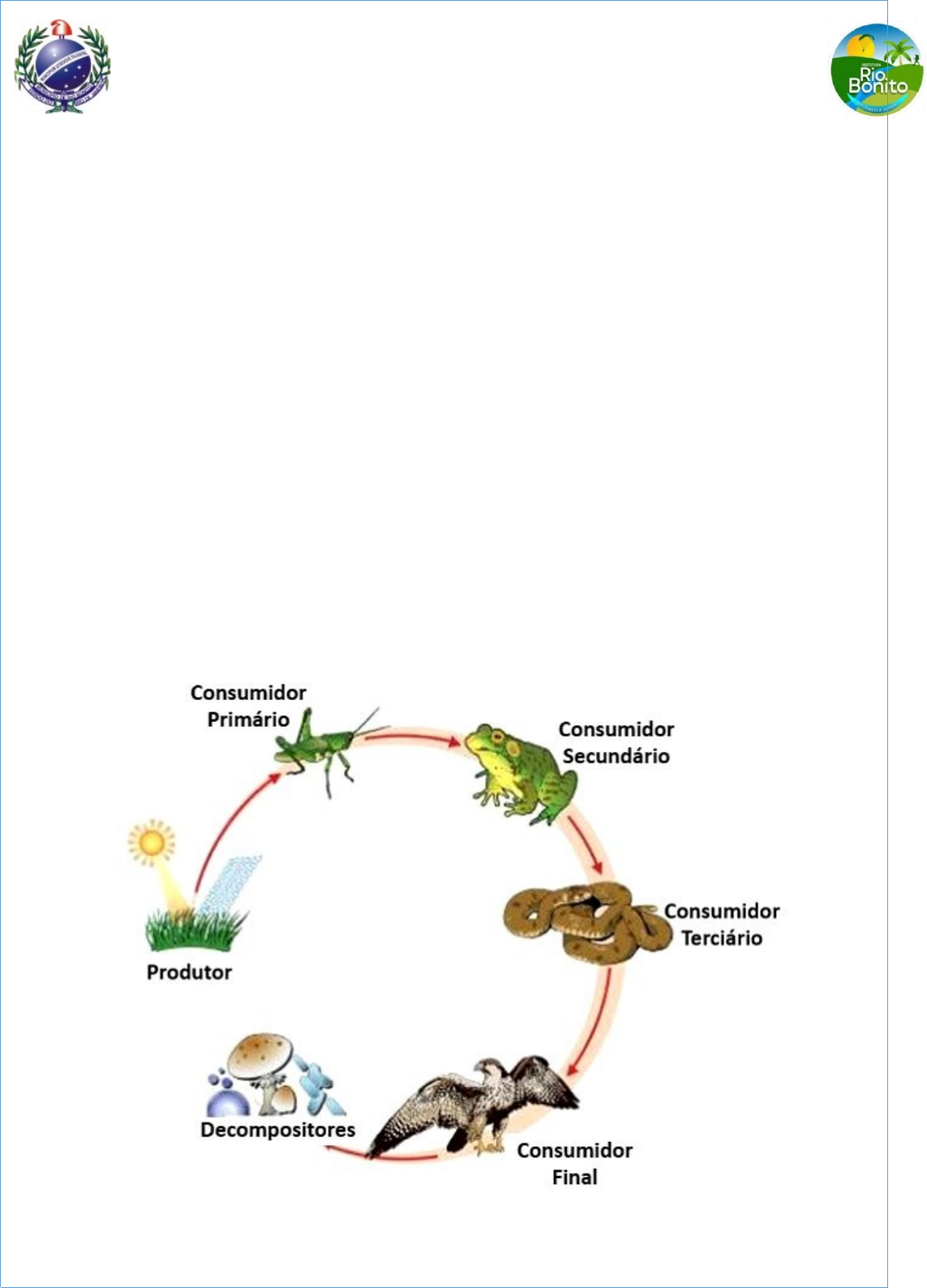 Solved: Complete as frases abaixo com as palavras: produtores, plantas,  animais, seres vivos, ecol [Biology], image size:1143x1588