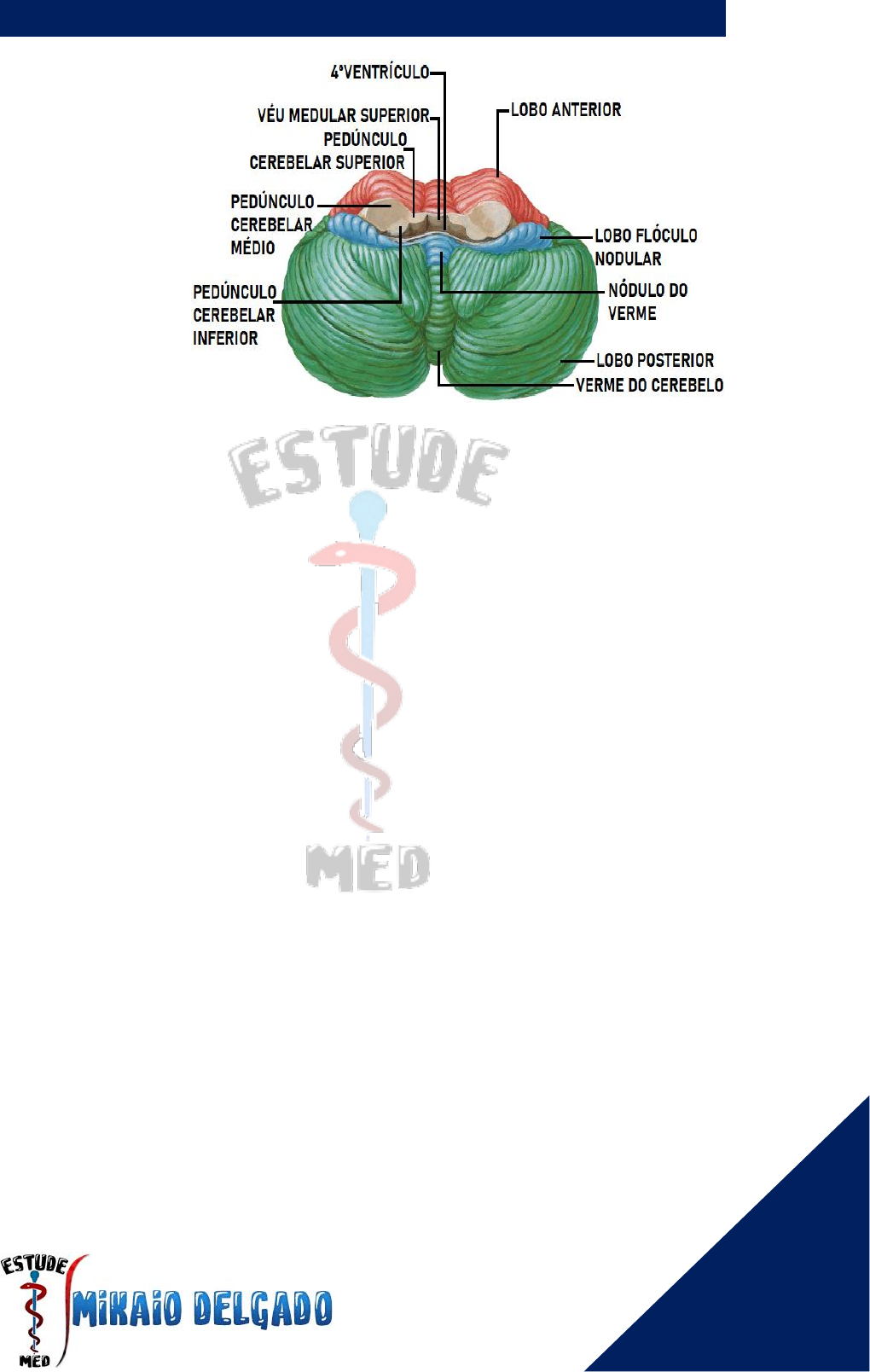 AIO  Estude diferente.