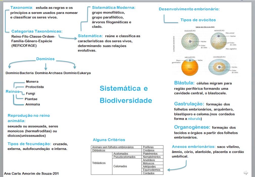 Mapa Mental Biologia Sistem Tica Biologia