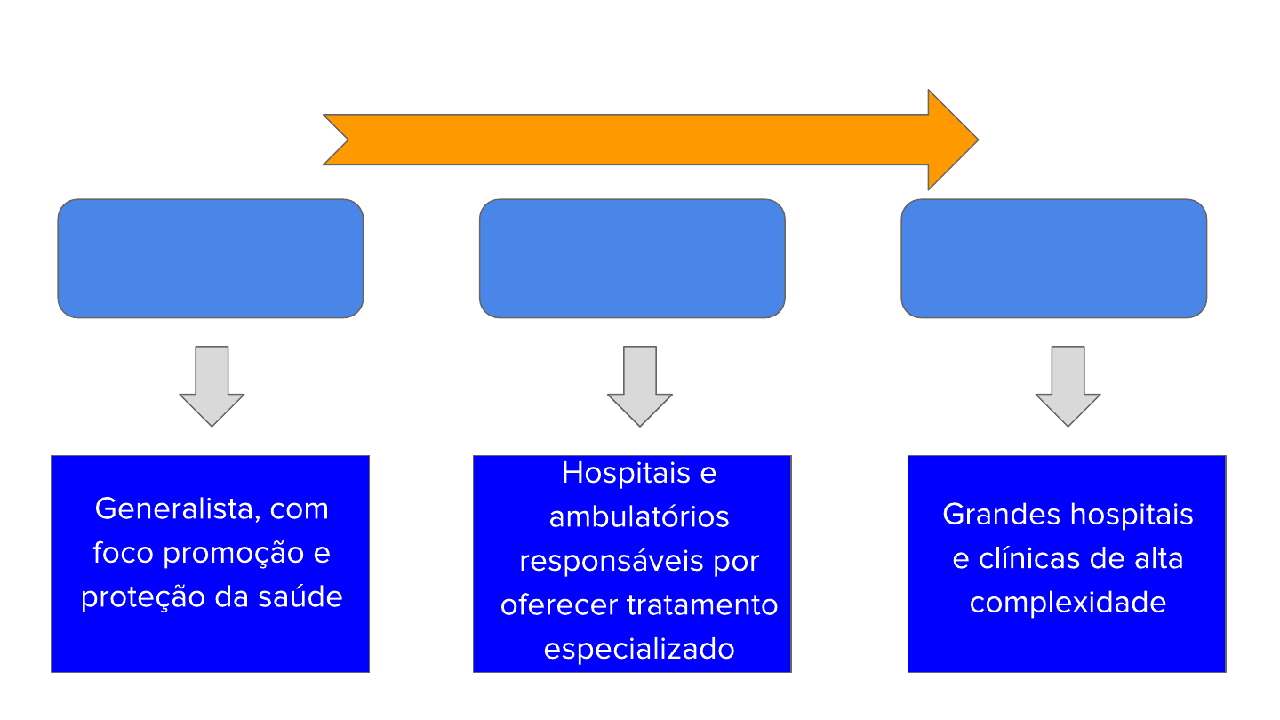 Niveis De Atenção A Saude Edulearn 5111