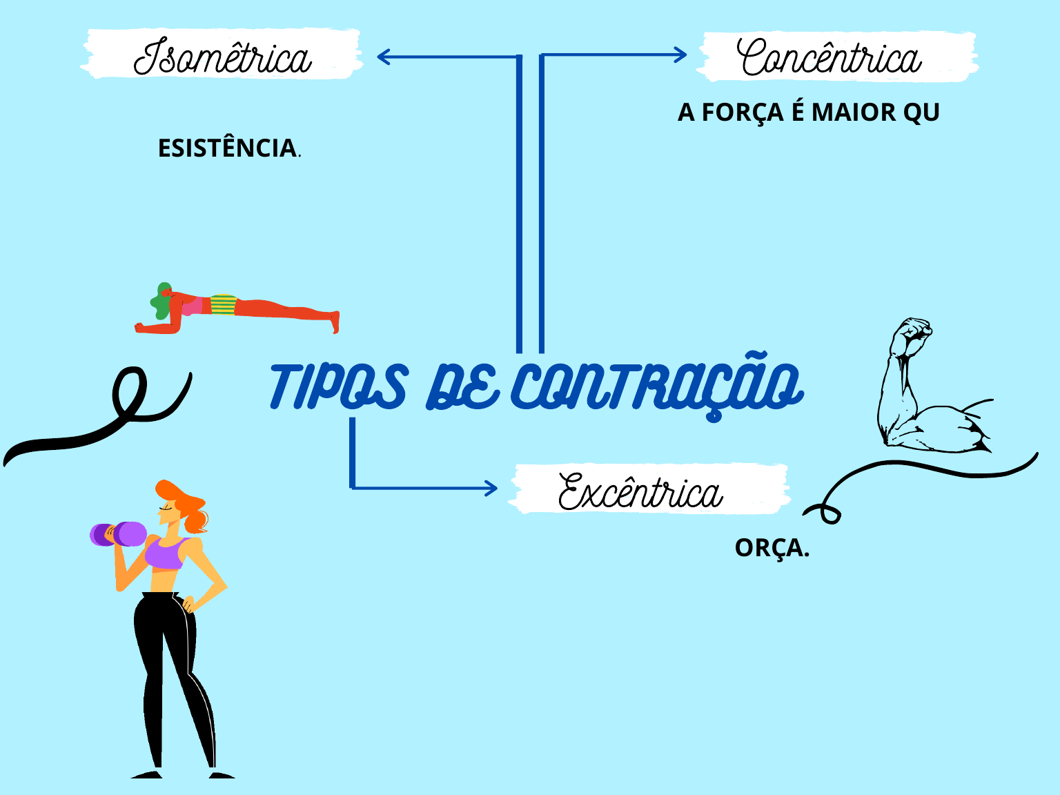 Contracao Excentrica Tipos De Contração Muscular Cinesioterapia