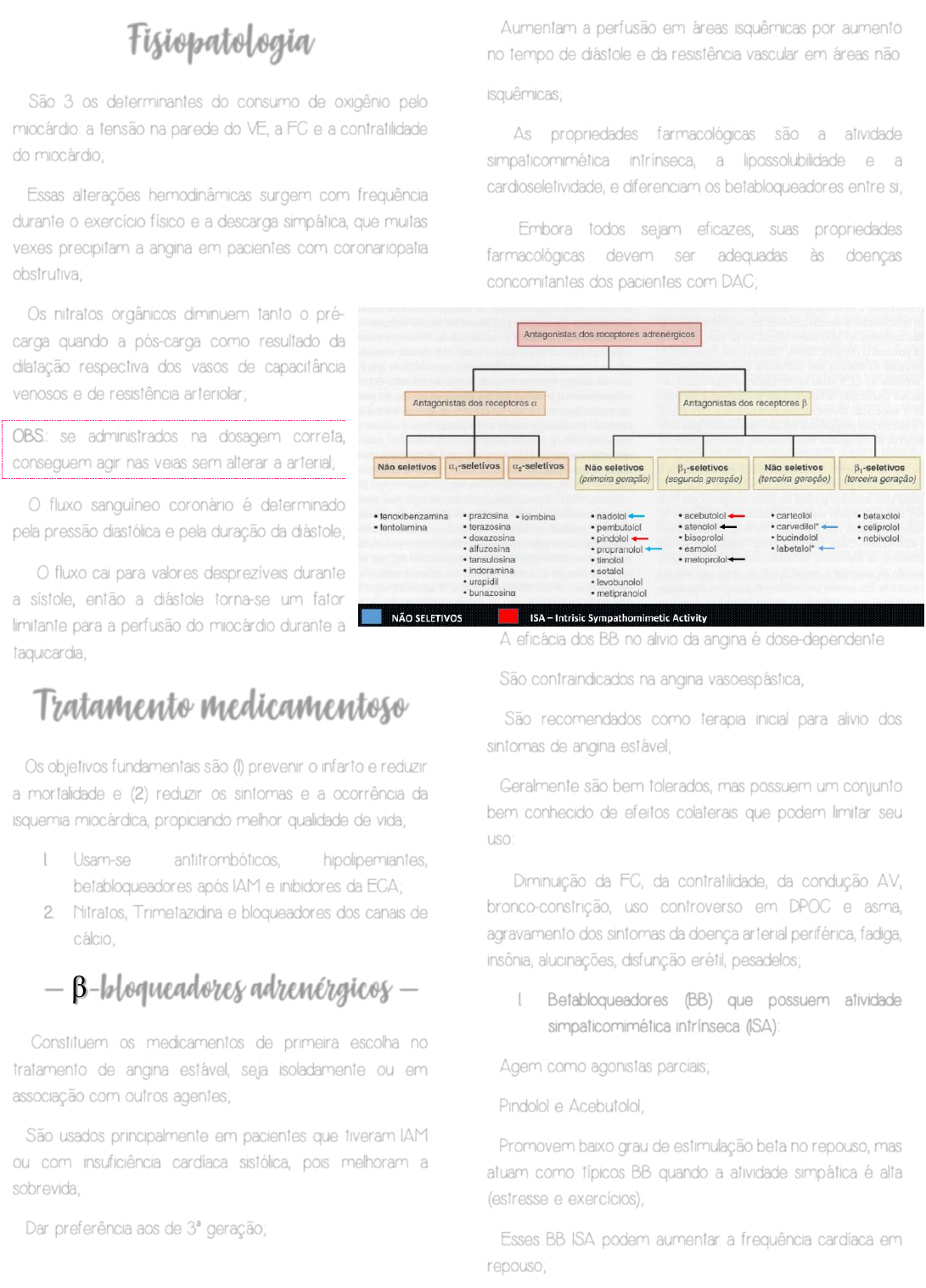 Propriedades farmacológicas dos betabloqueadores