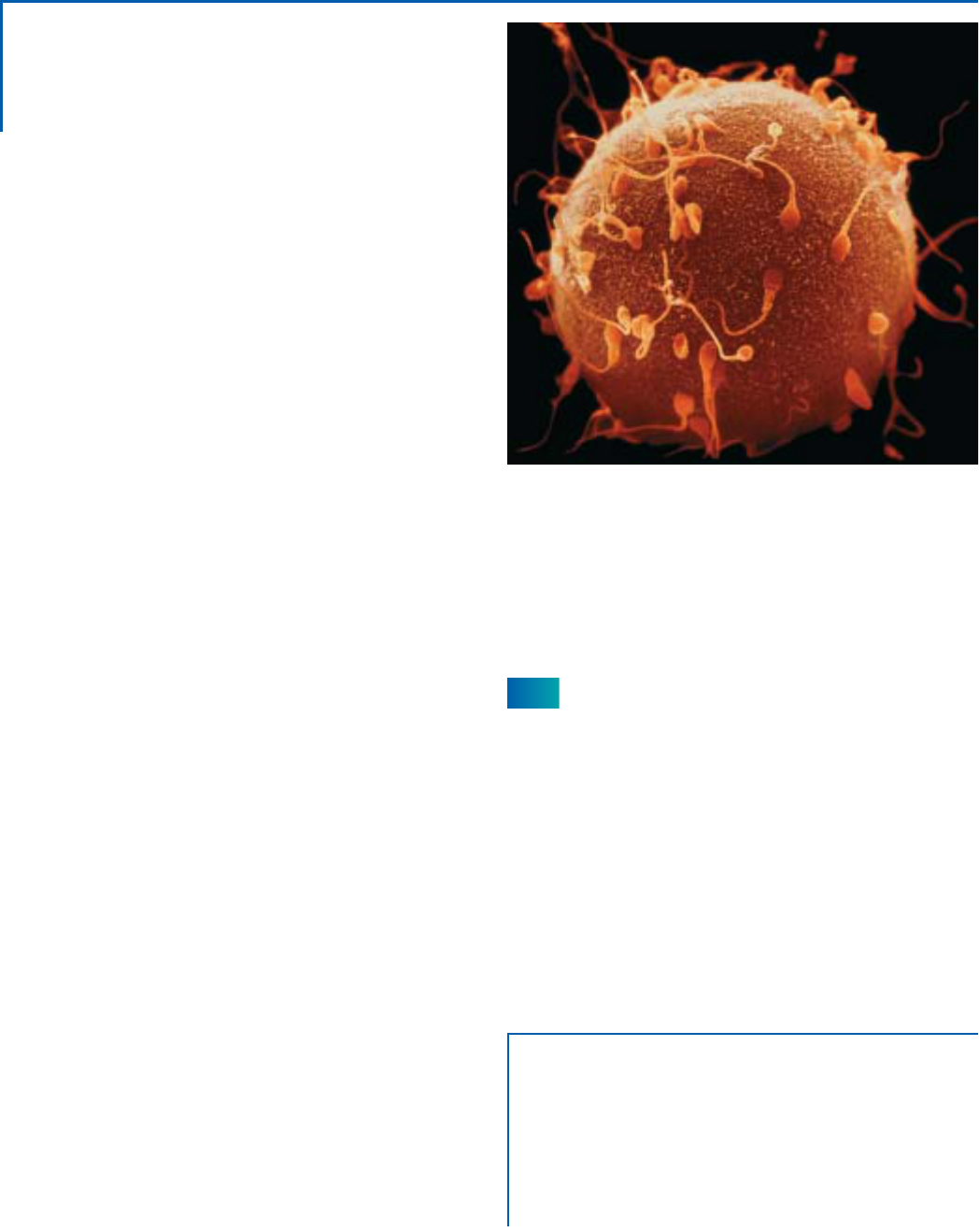 lodish molecular cell biology pdf