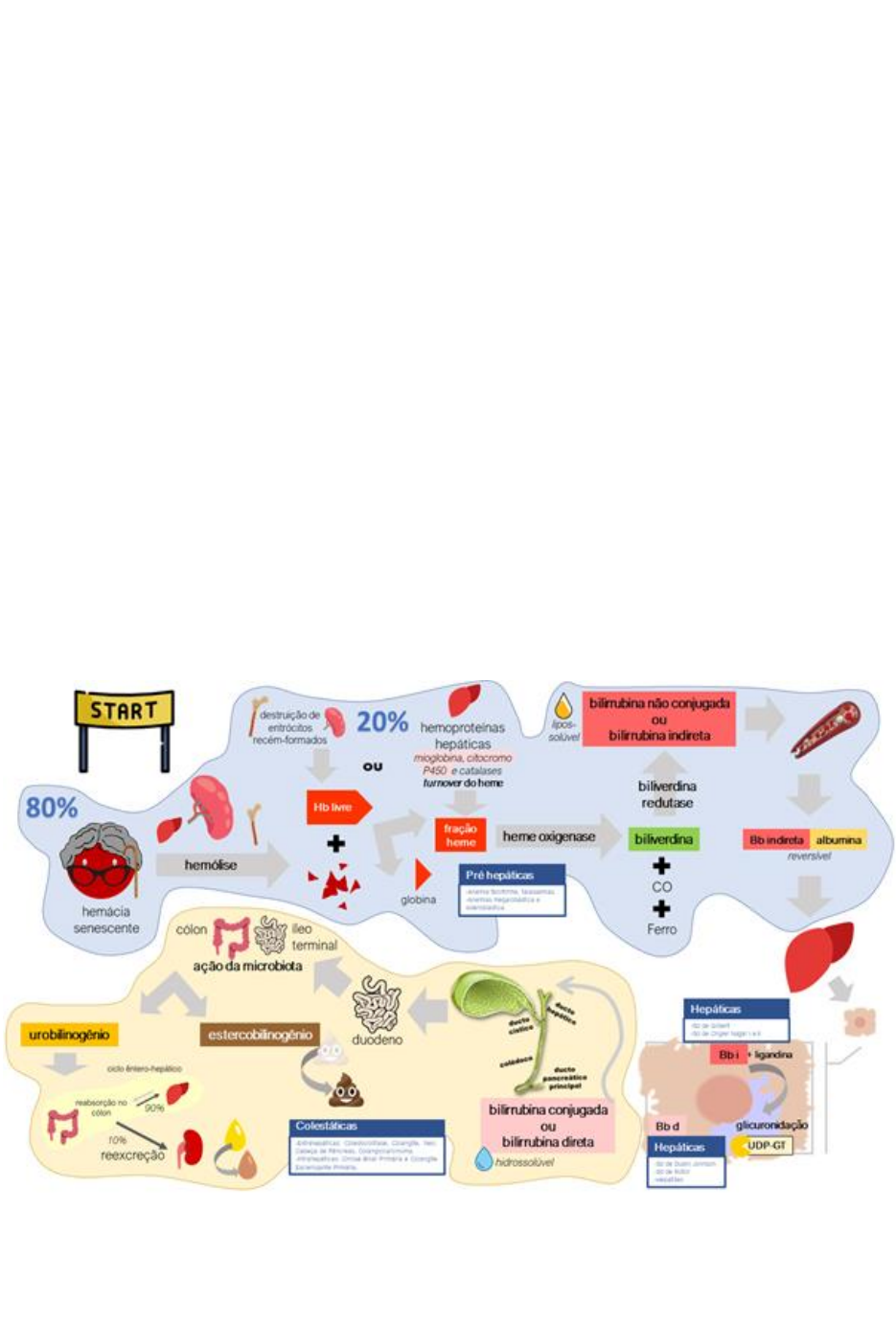 REVISTA DE LA SOCIEDAD ESPAÑOLA DE PARASITOLOGÍA · SOCEPA, image size:935x1383