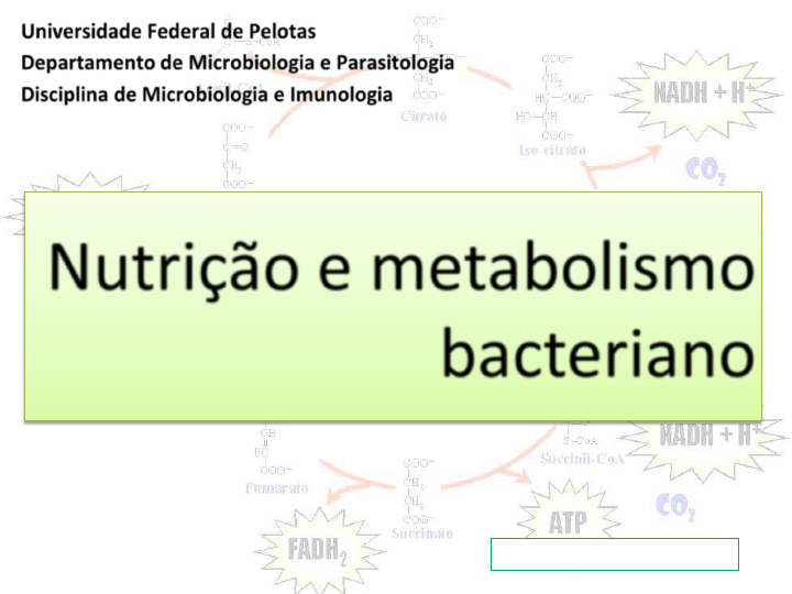 Aula 05 - Nutrição, metabolismo e reprodução bacteriana (1).pdf