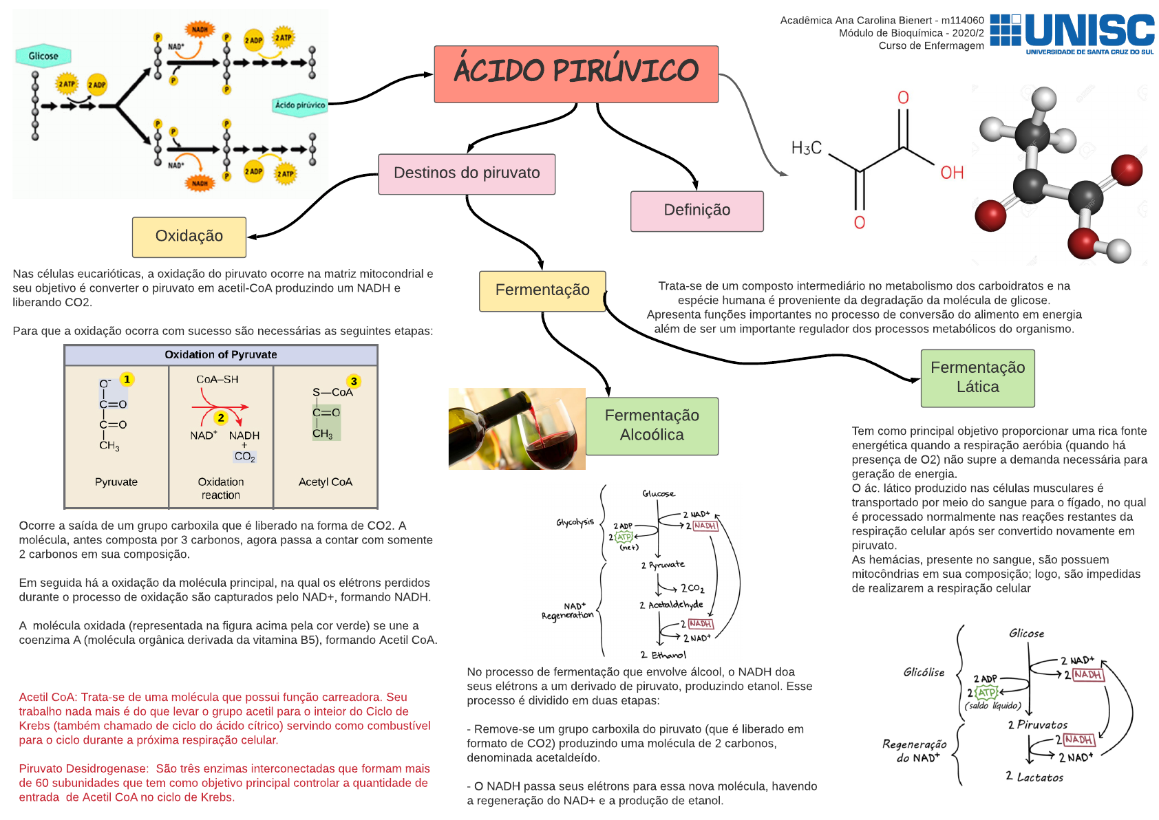 Piruvato Em Lactato