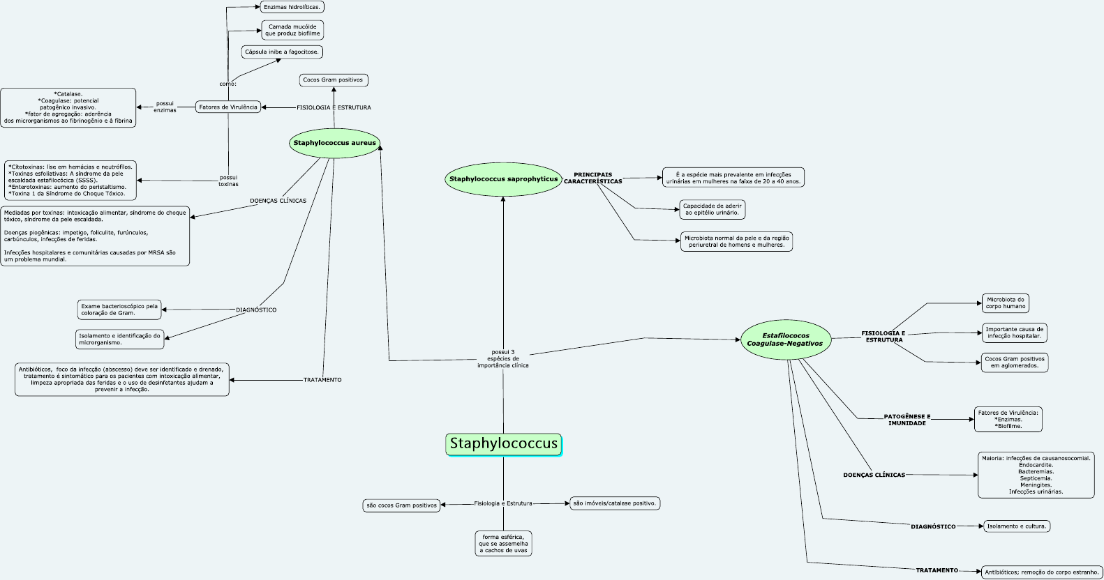 Staphylococcus (Estafilococos) - Mapa Mental - Microbiologia