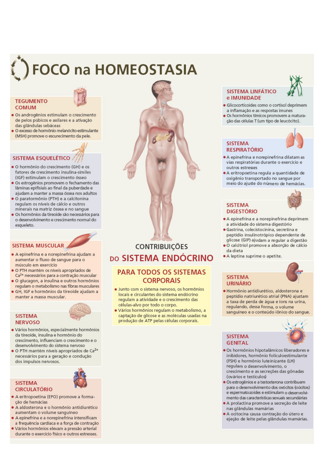 Tortora - Fisiologia Humana I