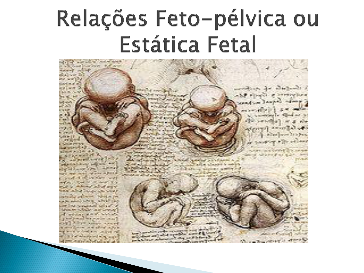 7 Relações feto pélvica ou estática fetal - Enfermagem