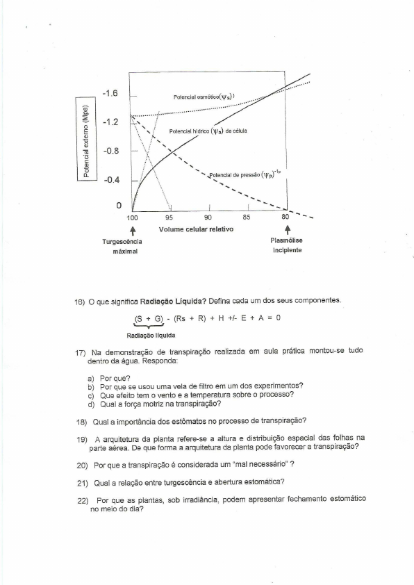 Questões Fisiologia Vegetal - Fisiologia Vegetal