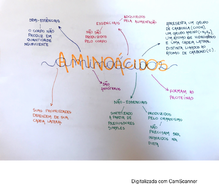 Mapa Mental AminoÁcidos Fundamentos De Bioquímica 3318