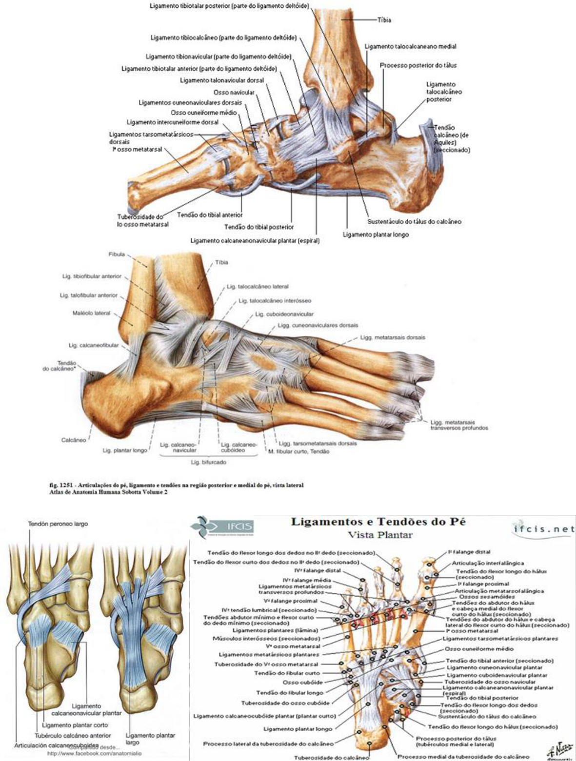 Grátis: LIG-MMII - Material Claro e Objetivo em PDF para Estudo Rápido, image size:1181x1561