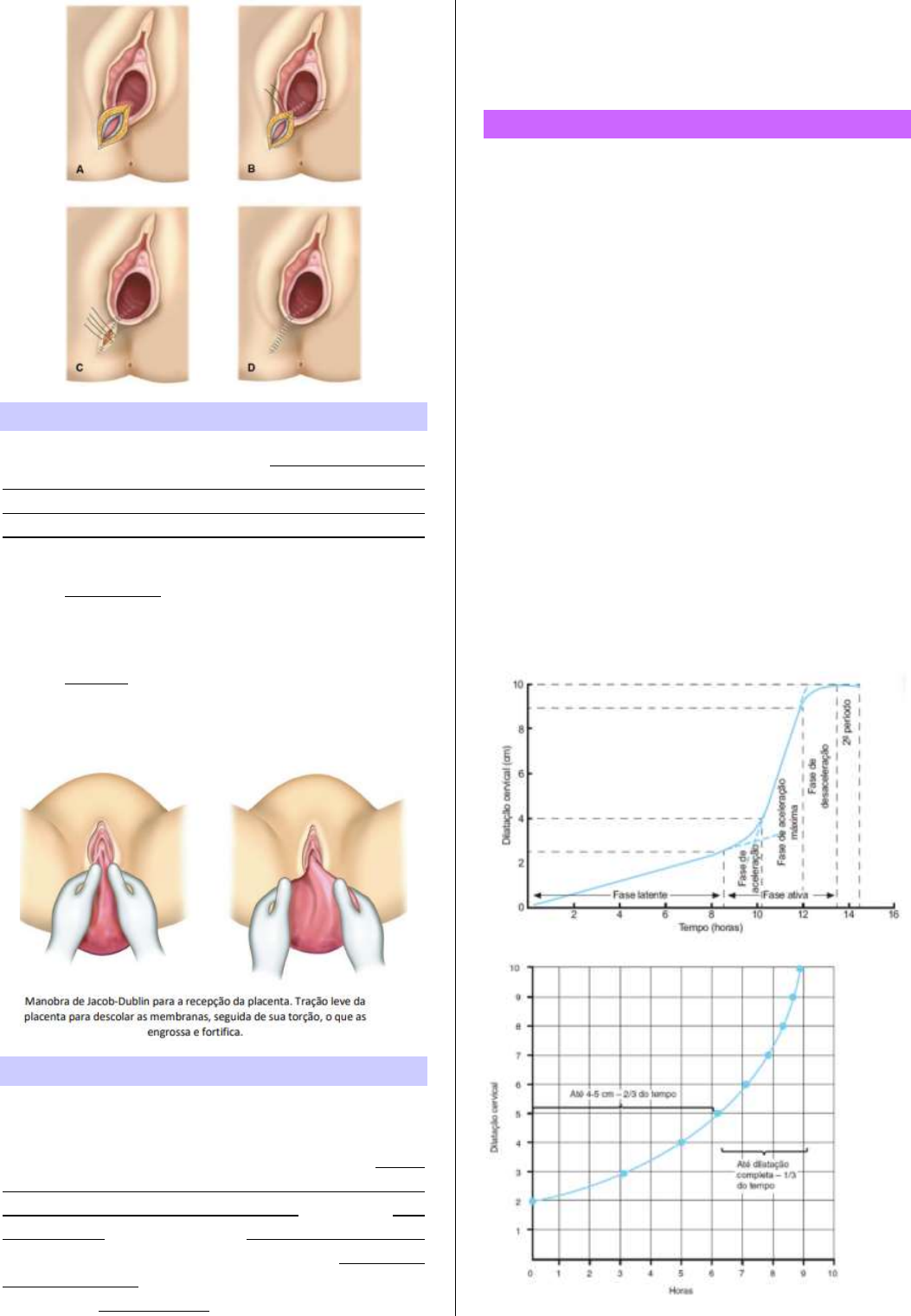 Grátis: PARTO - Material Claro e Objetivo em PDF para Estudo Rápido, image size:1053x1521