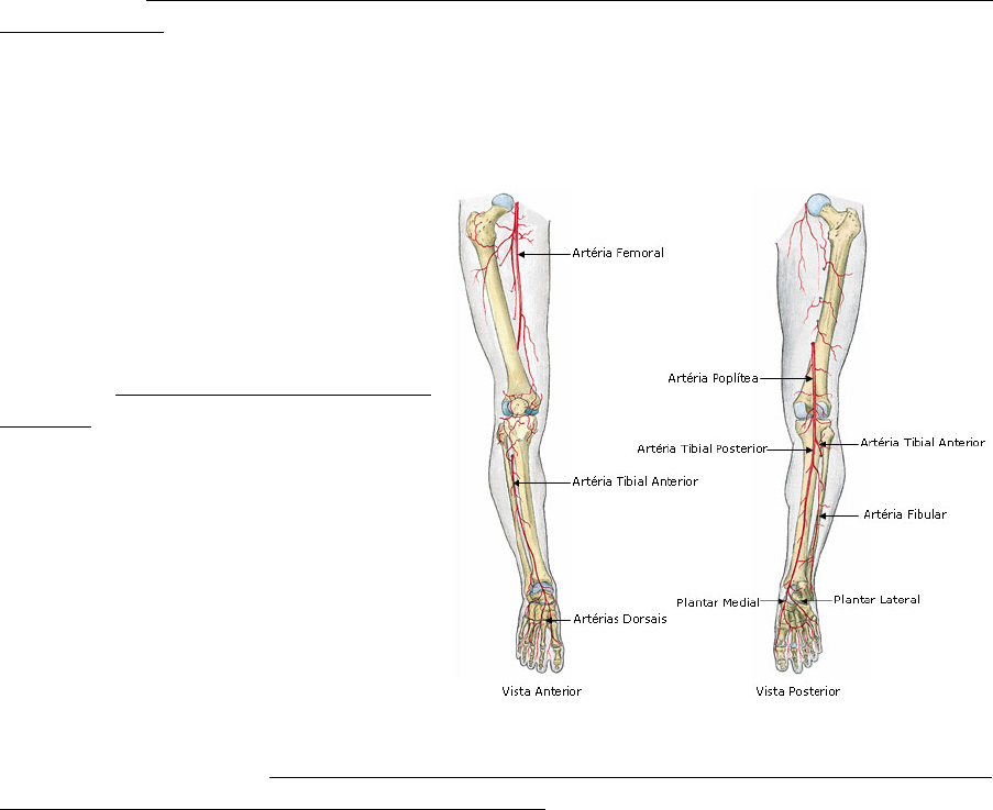 Angiografiadaarteriatibialposterior