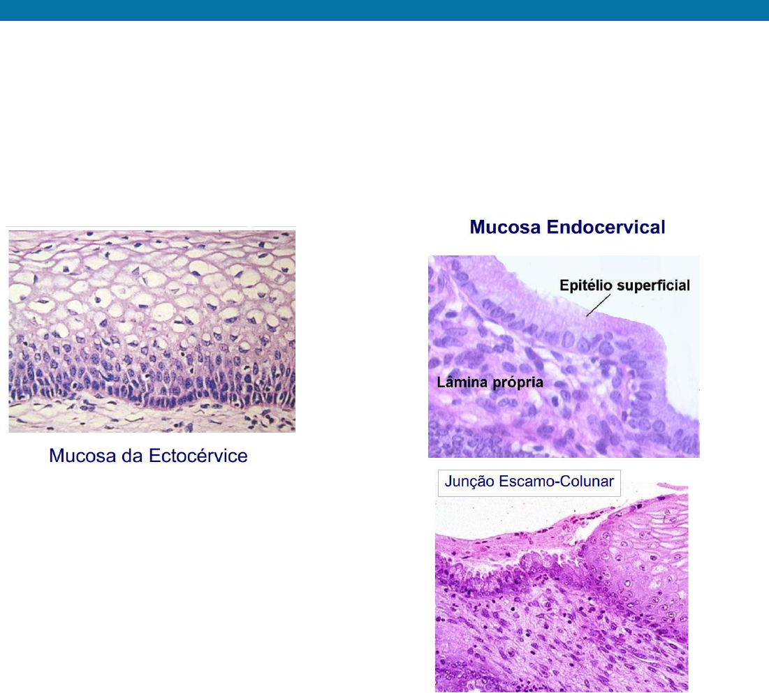 Disfunção erétil não é só sobre desempenho, é sobre saúde., Se você  percebeu mudanças na rigidez, na duração da ereção ou na frequência, vale  investigar., image size:1101x993