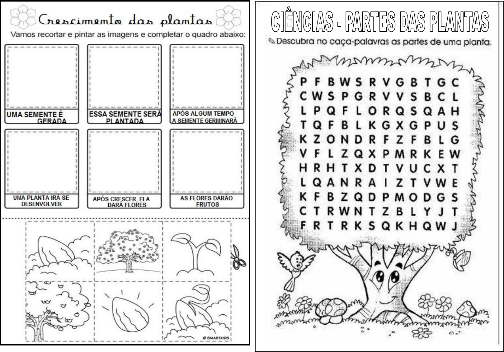 AS PARTES DAS PLANTAS - puzzle online