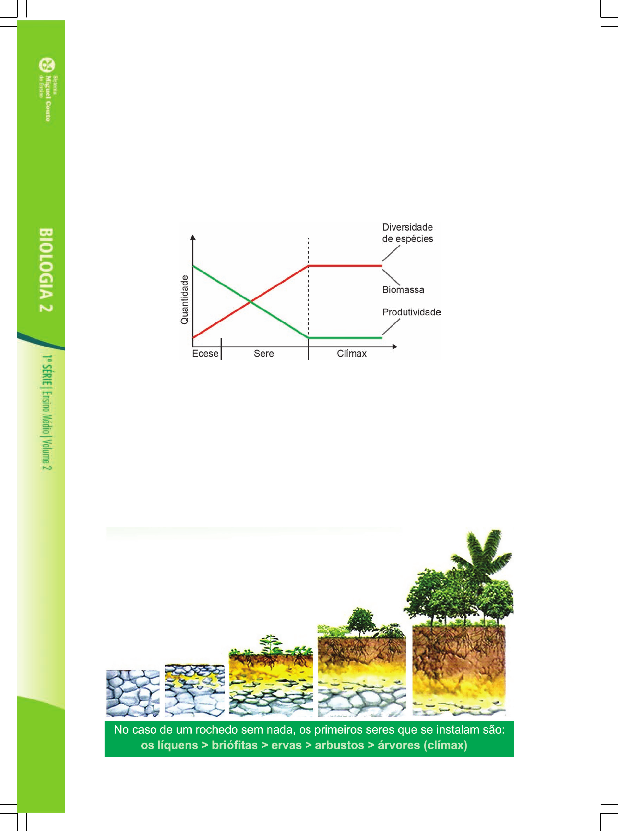 Biomas Terrestres - tundra, taiga, florestas, campos - Cola da Web em  2023