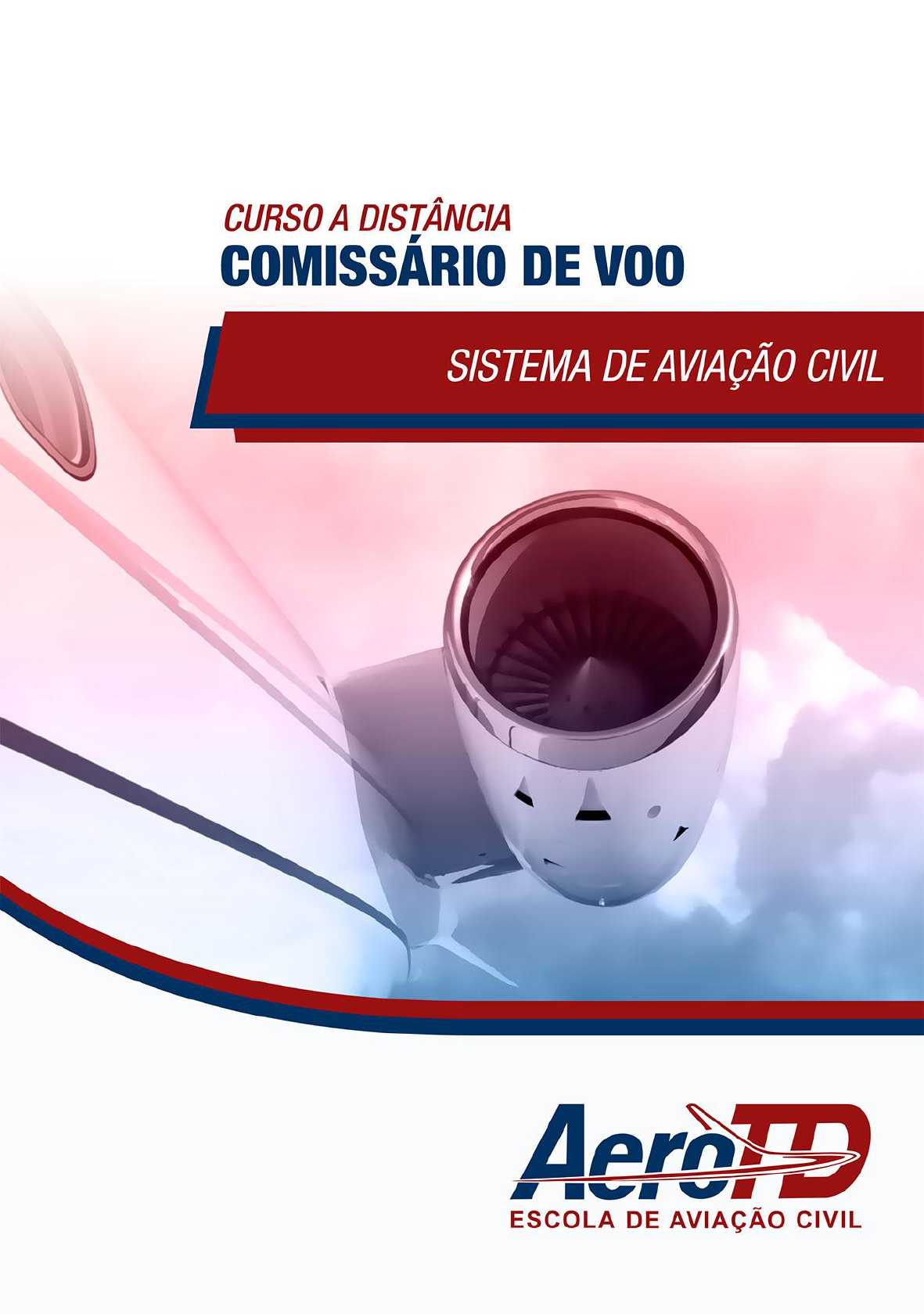 Elos do Sistema de Aviação Civil - Módulo III