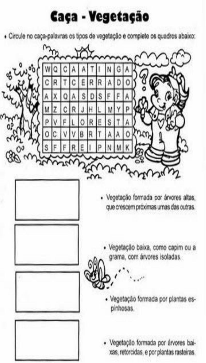 Atividades Tipos de Vegetação Geografia