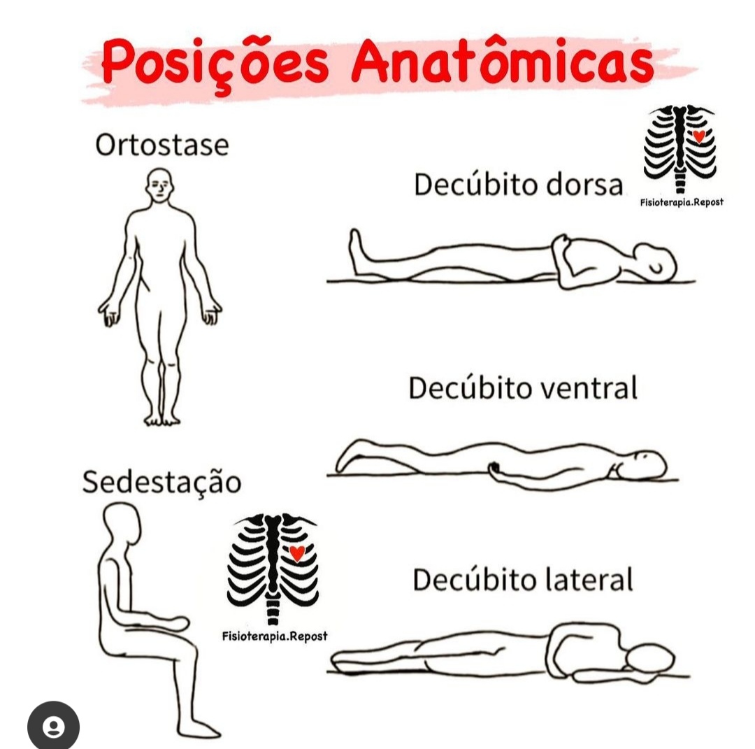 Posição Anatomica De Referencia