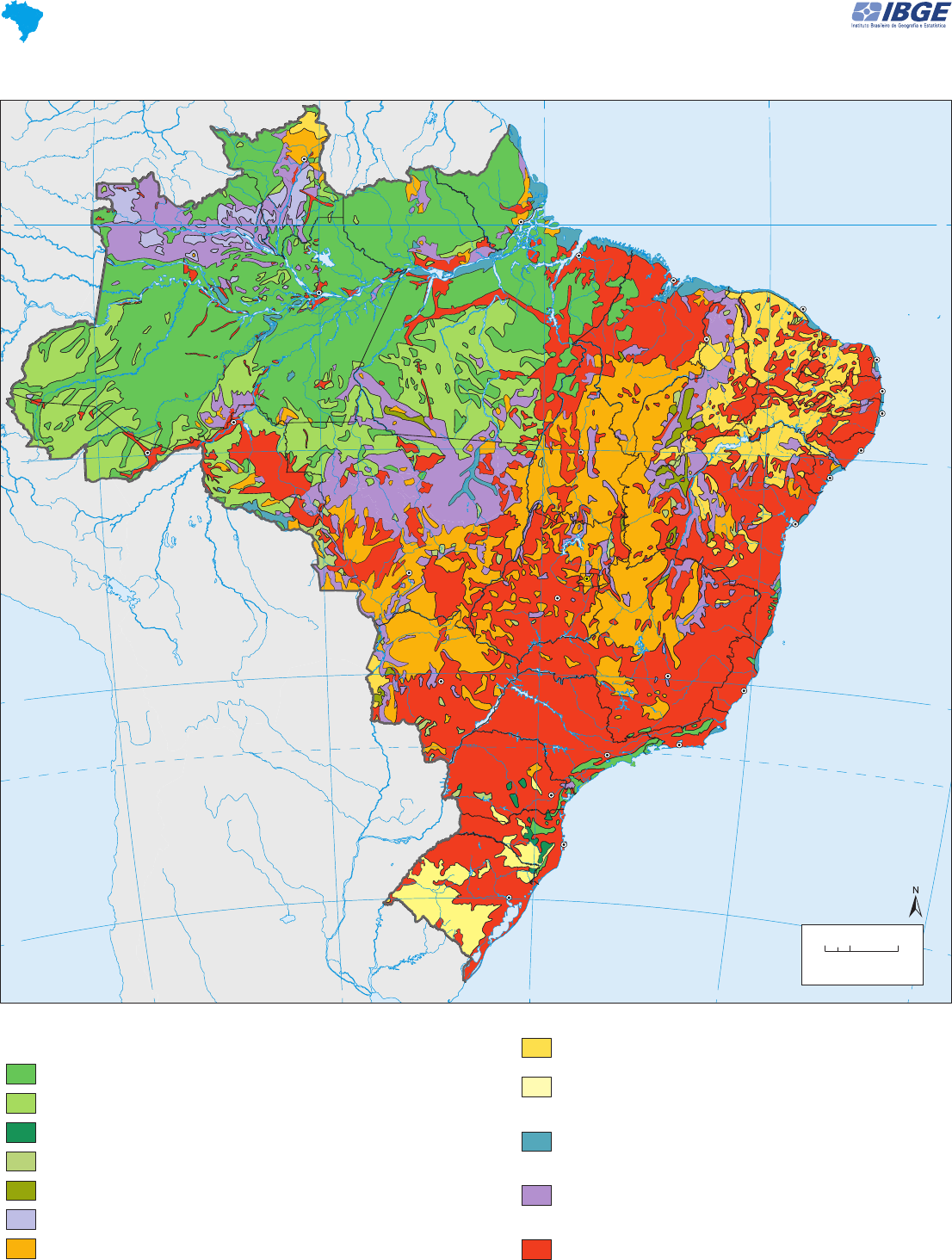 vegetação do Brasil - Geografia