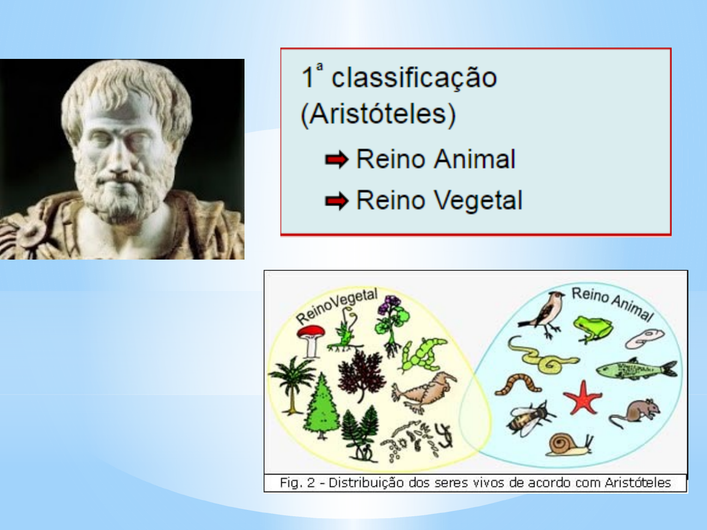 Grátis: Classificação dos seres vivos aula 1 - Material Claro e Objetivo em  PDF para Estudo Rápido, image size:1440x1080