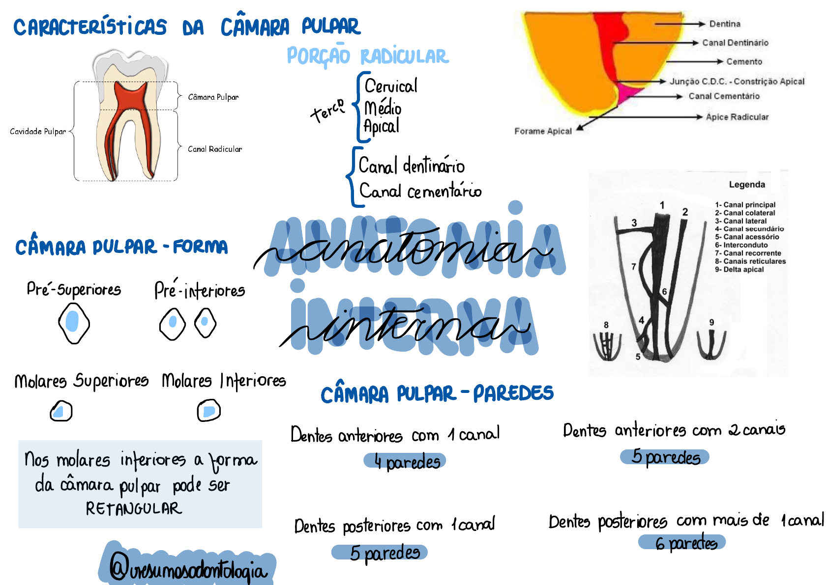 Mapa Endodontia Endodontia 7815