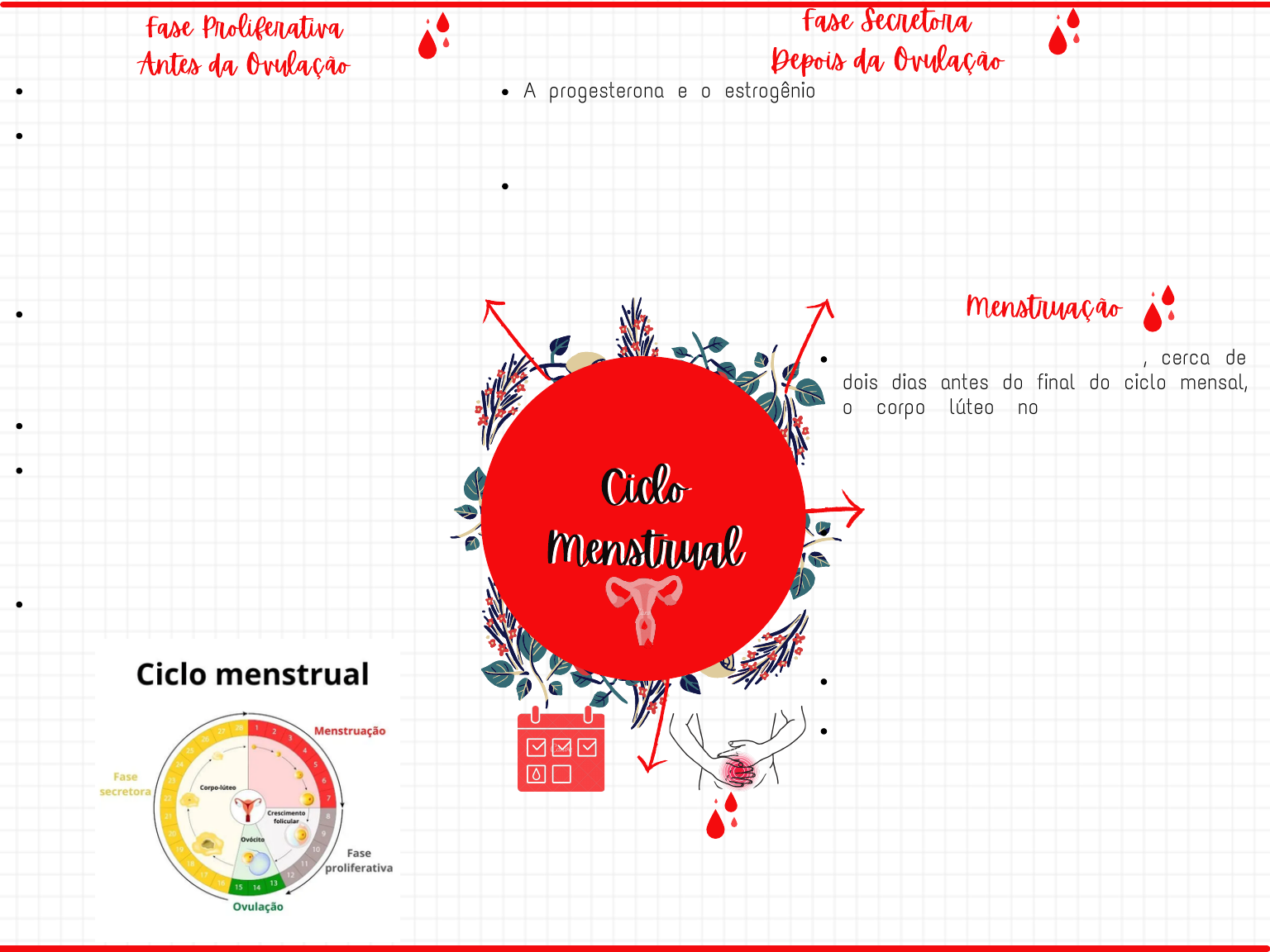 Mapa Mental do Ciclo Menstrual - Ginecologia