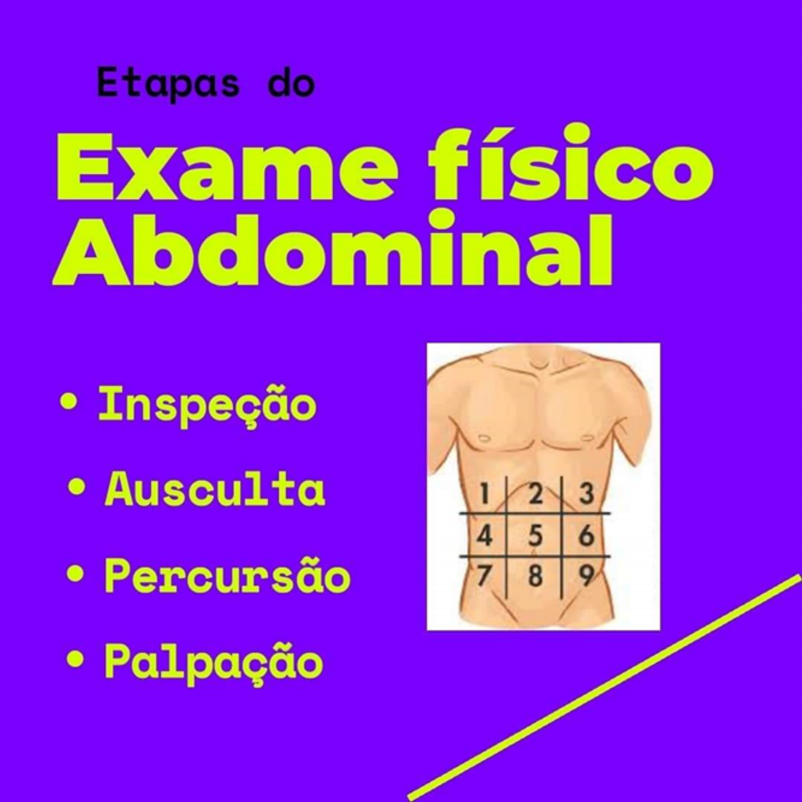 Exame Fisico Abdominal Semiologia Médica 1986