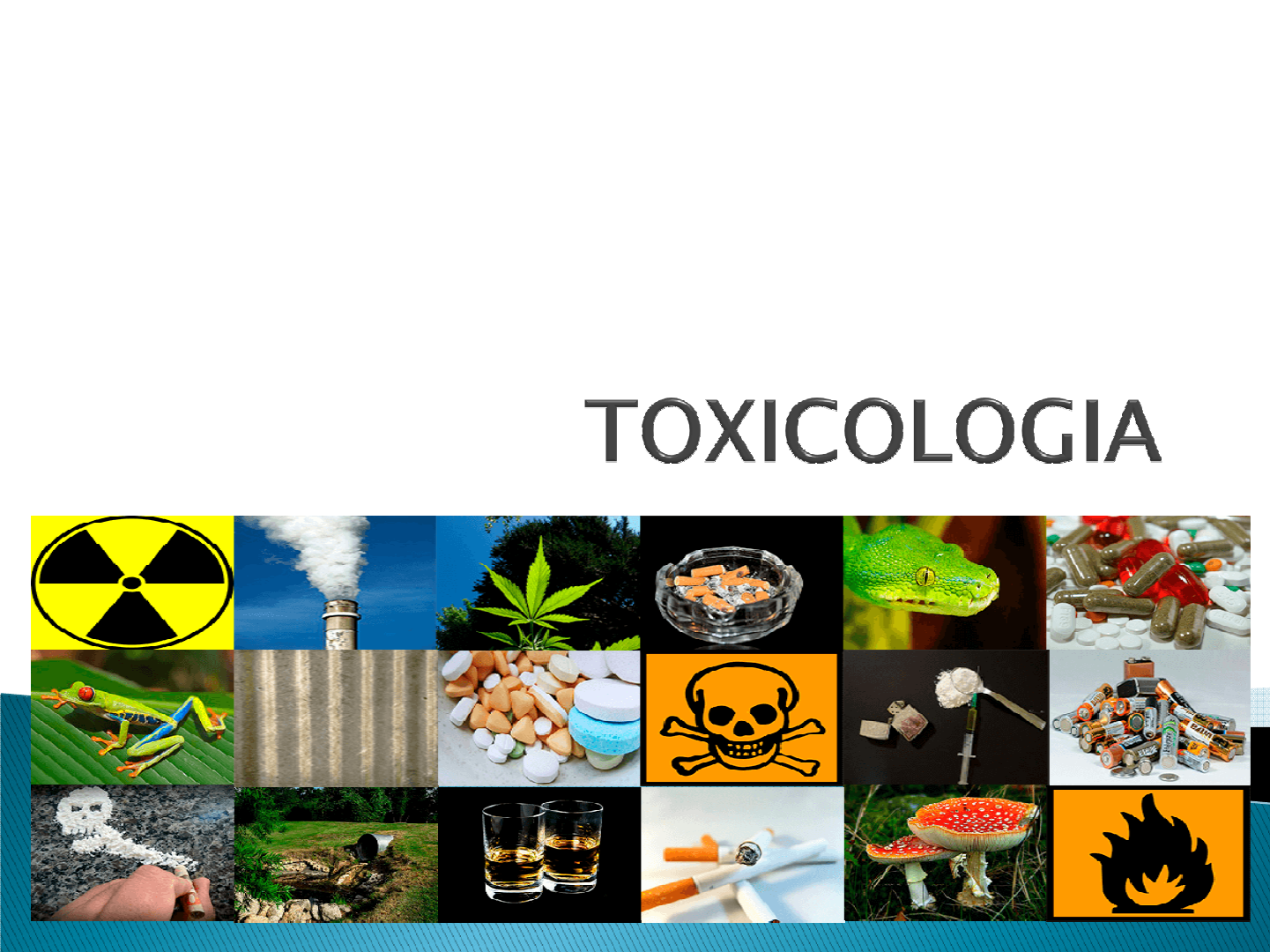 Aula 1 introdução à toxicologia