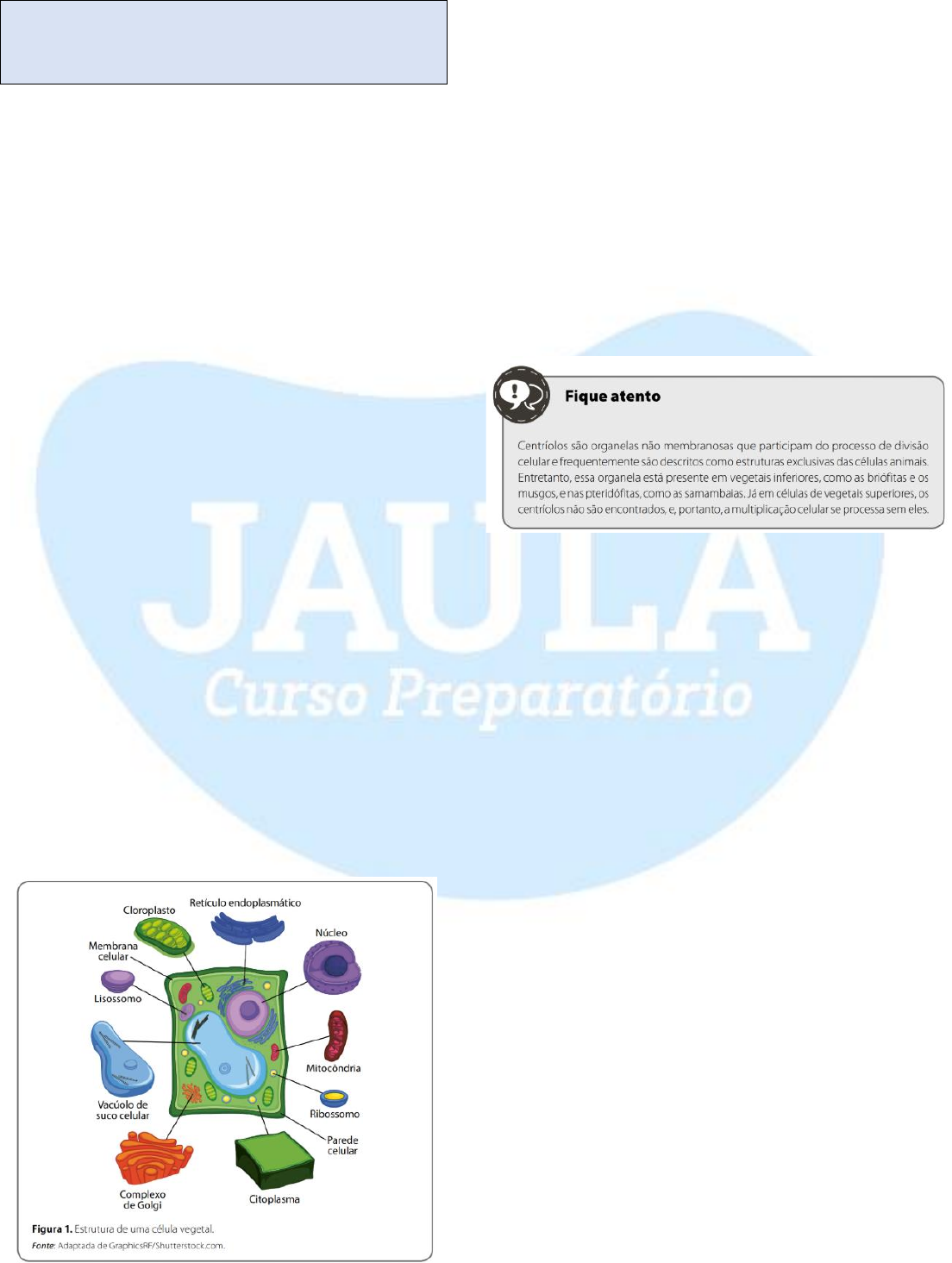 Grátis: Maria da Encarnacao Martins Braga Diversidade dospigmentos  fotossinteticos professor - Material Claro e Objetivo em PDF para Estudo  Rápido, image size:1104x1465