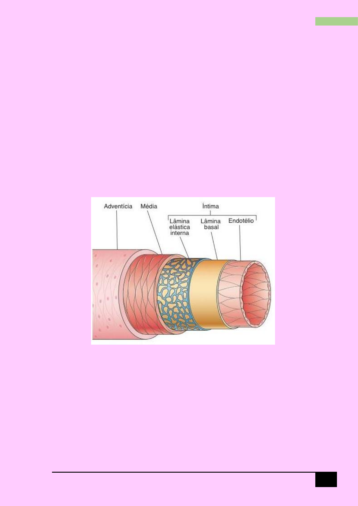 Tratamento de Hérnia pelo SUS: O que você precisa saber, image size:1191x1684