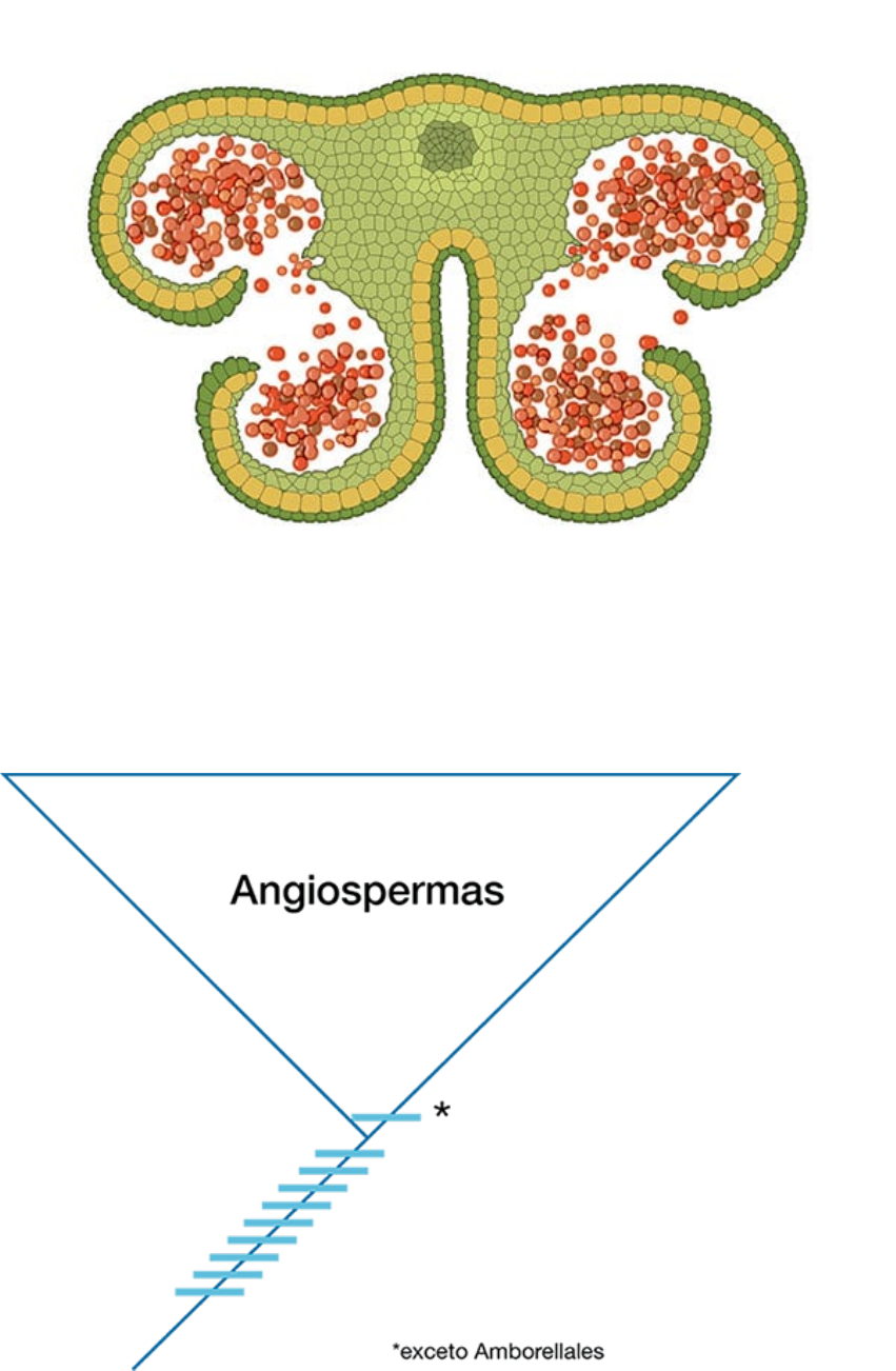 Meu blog – Ricardo de Oliveira Perdiz, image size:851x1302