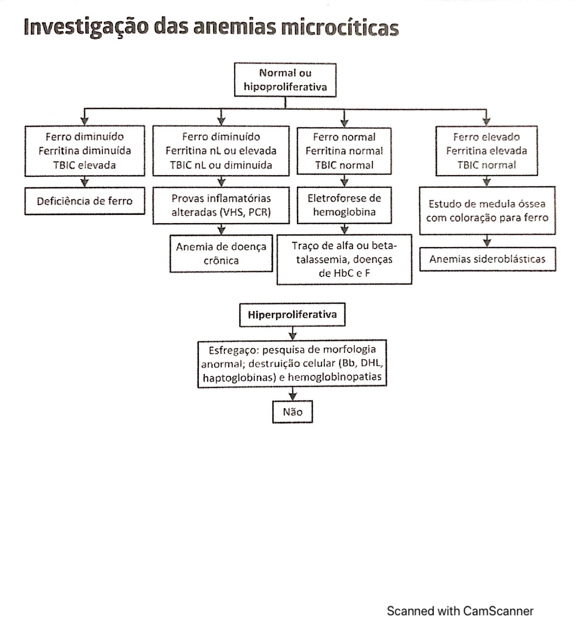 Fluxograma Para Anemias Anemia fluxograma-para-anemias-anemia