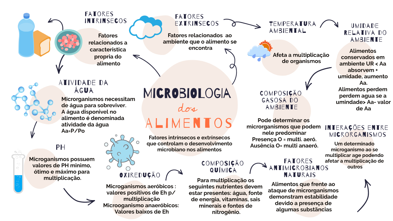 Mapa Mental Microbiologia De Alimentos Microbiologia De Alimentos Em ...