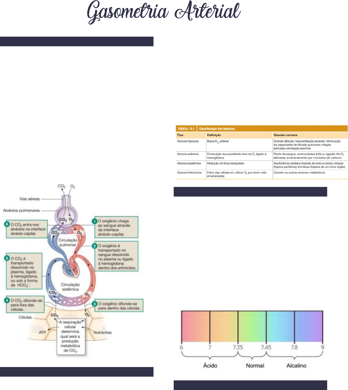 Gasometria Arterial, PDF, Solução-tampão