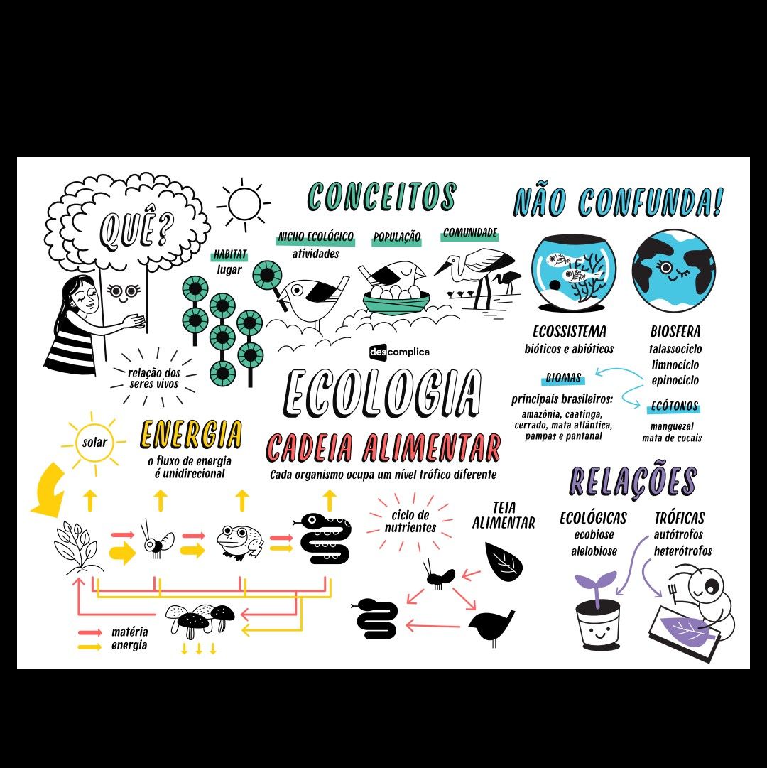 Exercícios sobre Ecologia- Descomplica, Exercícios Biologia