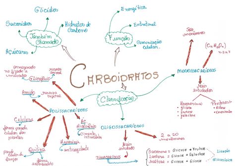 Clase 12 Mapa Conceptual De Bromatologia Images