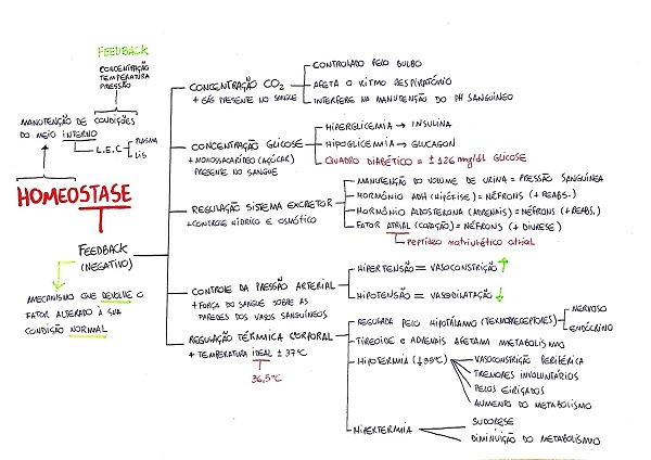 Homeostase Fisiologia I