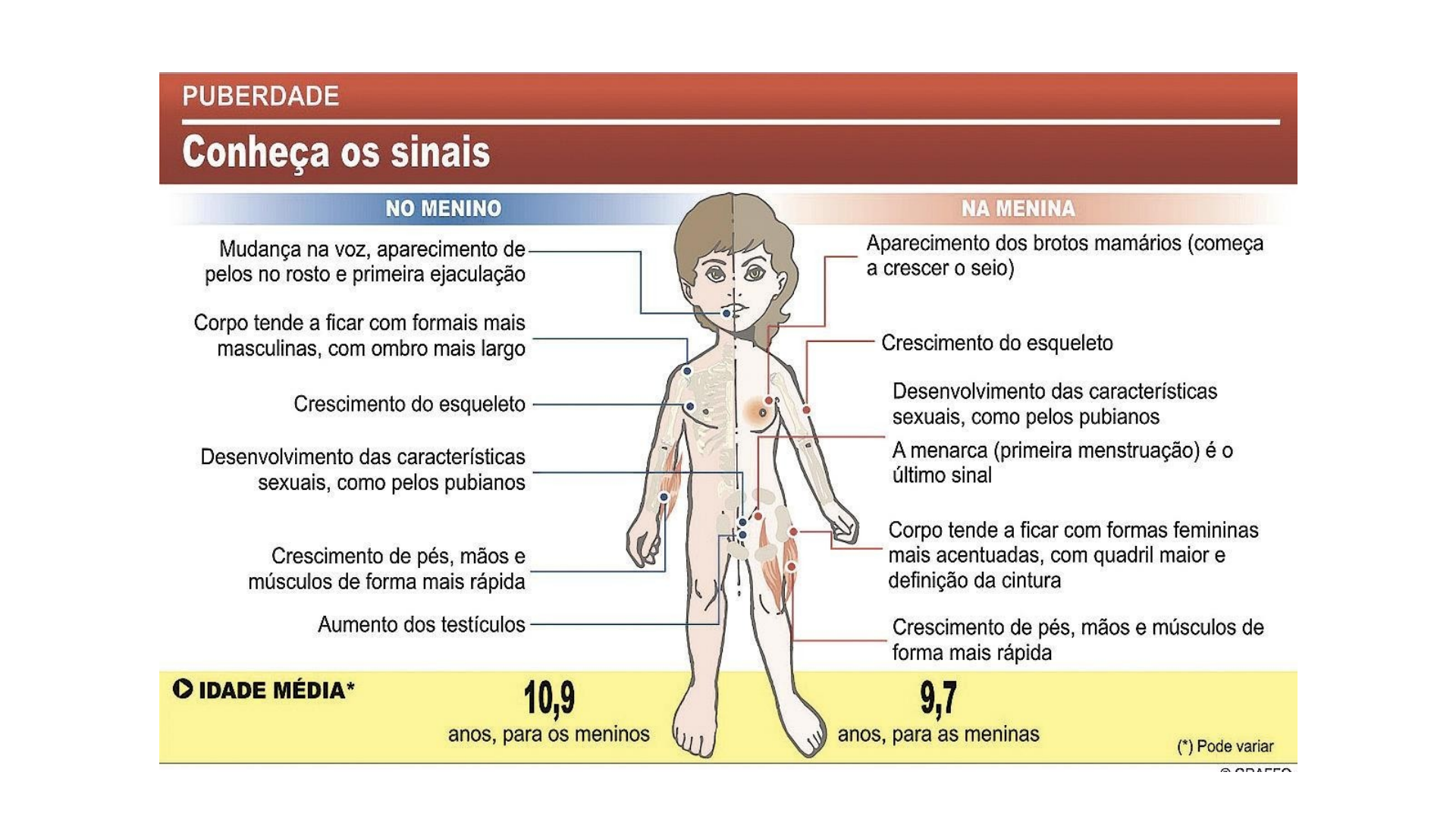 Grátis: 9 Puberdade - Material Claro e Objetivo em PDF para Estudo Rápido, image size:1920x1080