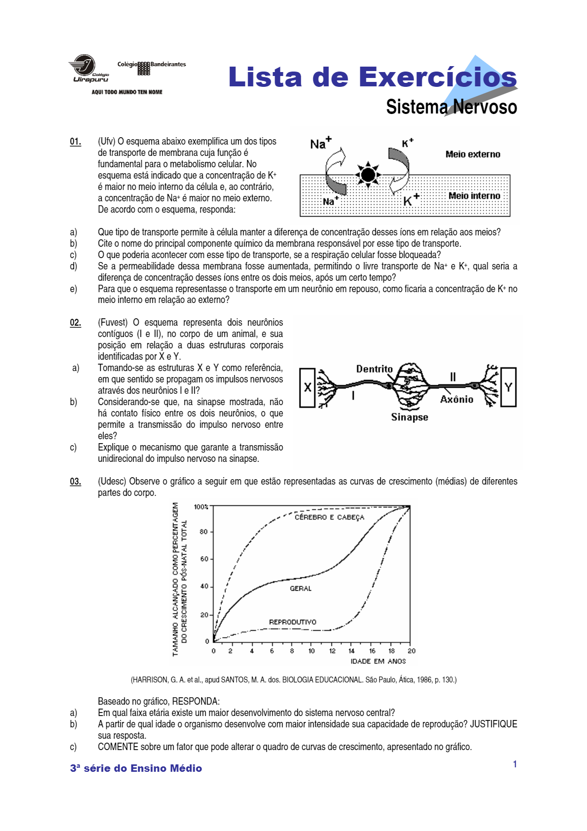 Lista de Exercícios Sistema Nervoso - PDF Download grátis - Biofisiologia