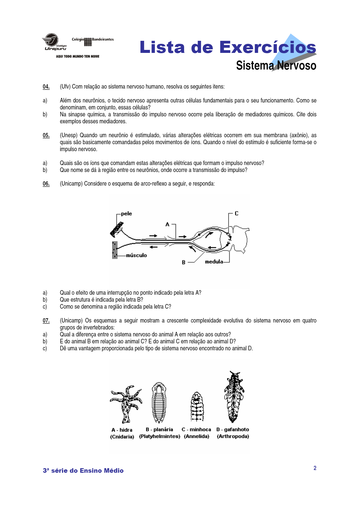 Lista De Exerc Cios Sistema Nervoso Pdf Download Gr Tis Biofisiologia