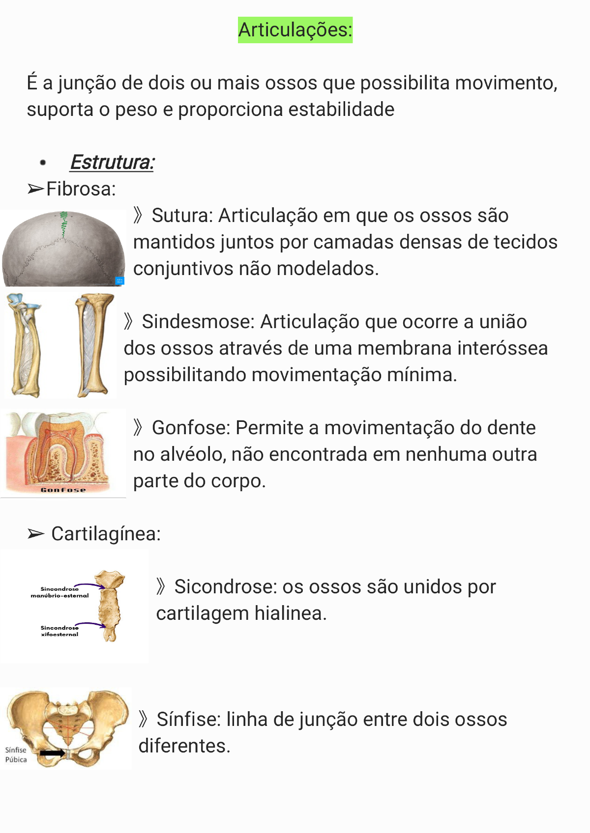 Articulações - Cinesiologia E Biomecânica