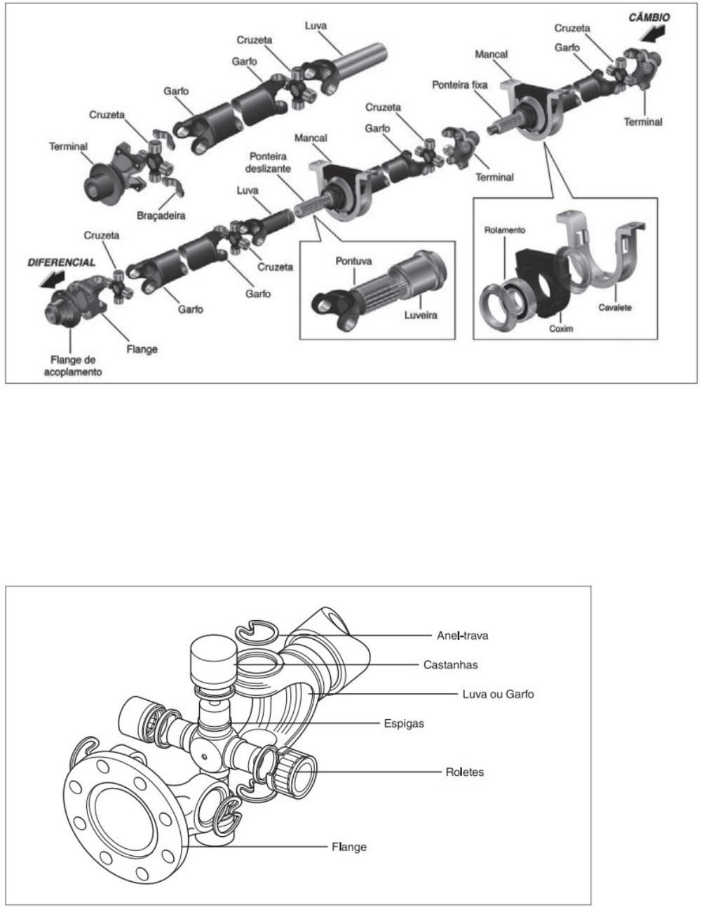 Grátis: COMPONENTES CARDAN - Material Claro e Objetivo em PDF para Estudo  Rápido