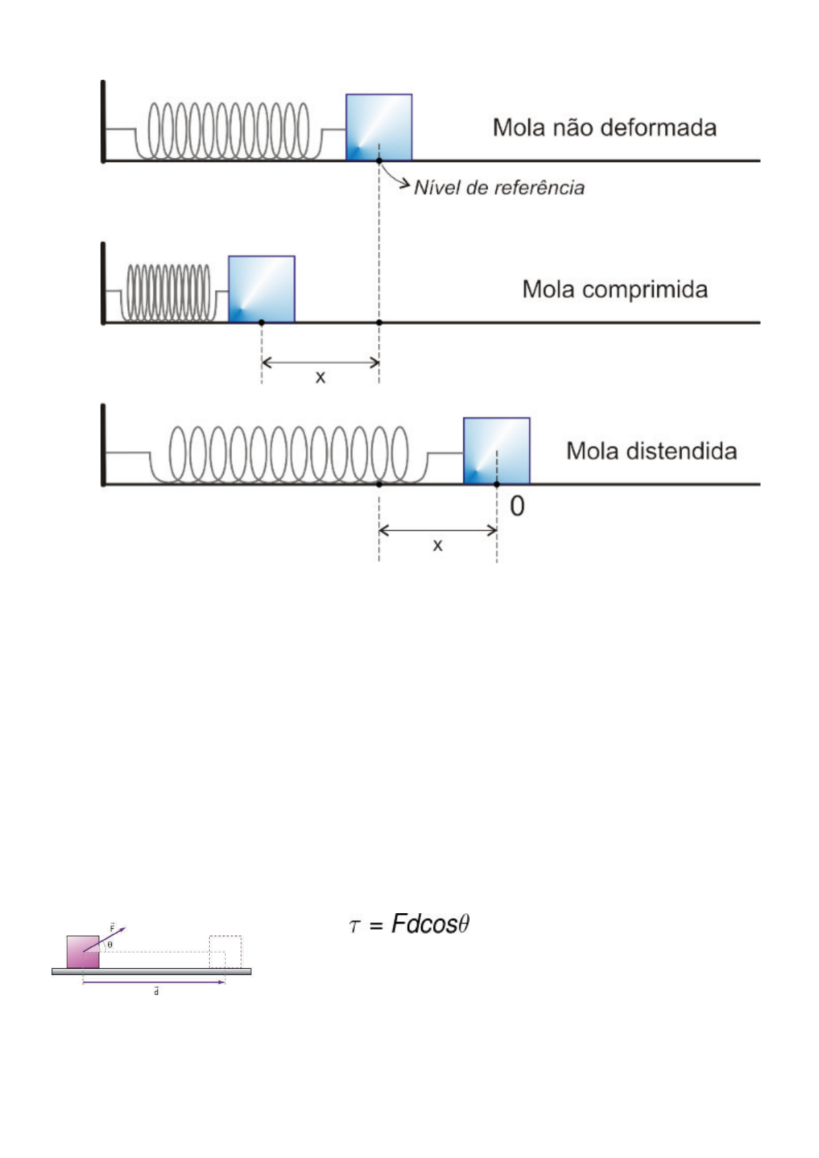 Definição de potencial hídrico - O que é. Como usá-lo. - METER Group, image size:1191x1684