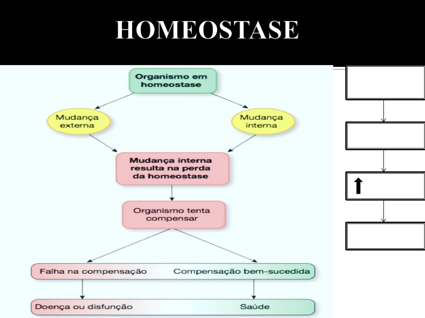 Os 20 Principais Exemplos De Homeostase - Maestrovirtuale