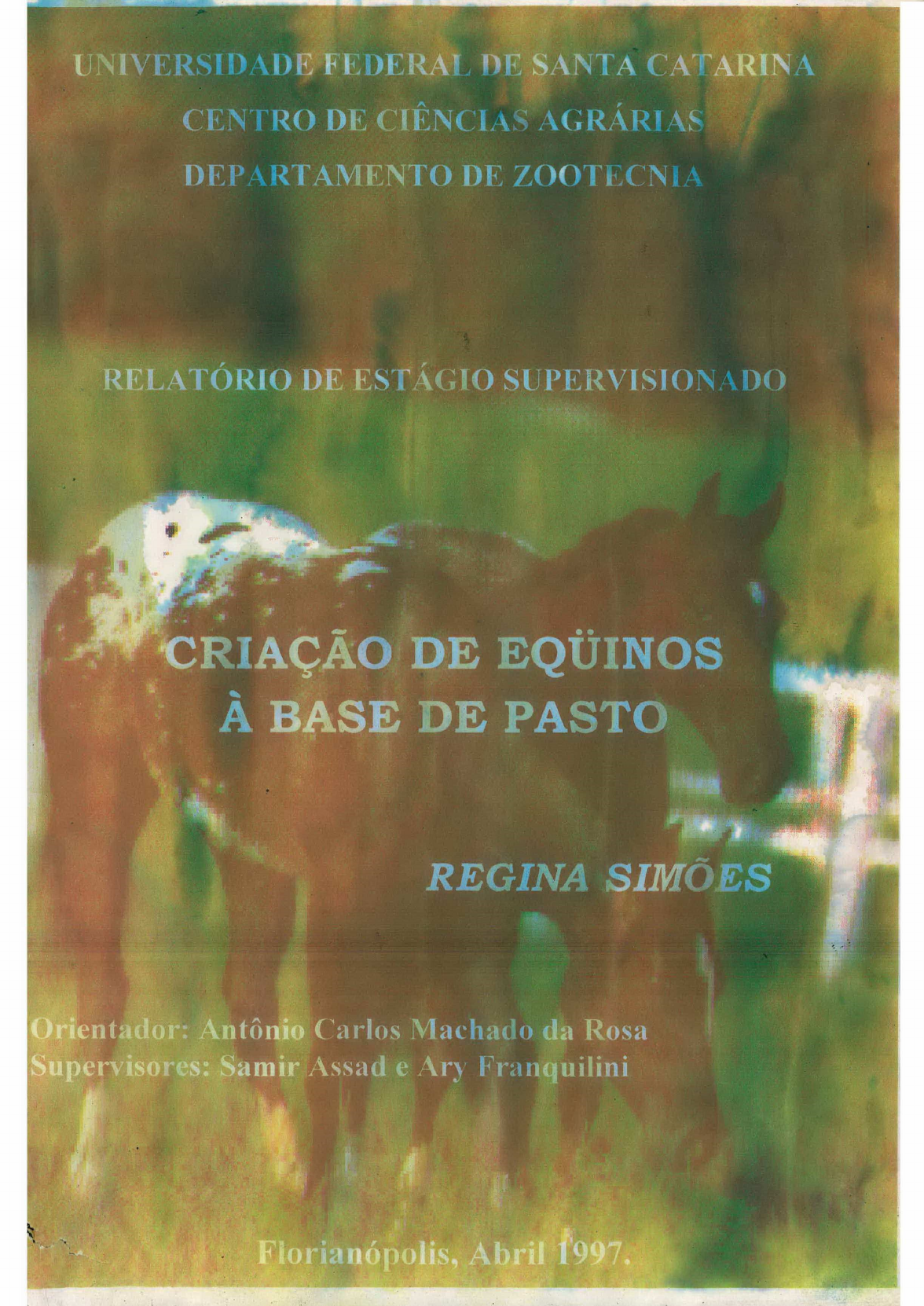 Poster Boca do Cavalo Dente próximo de Cavalo Selvagem