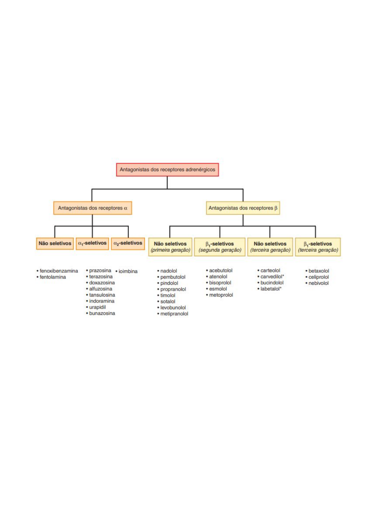 ANTAGONISTAS ADRENÉRGICOS - Farmacologia I