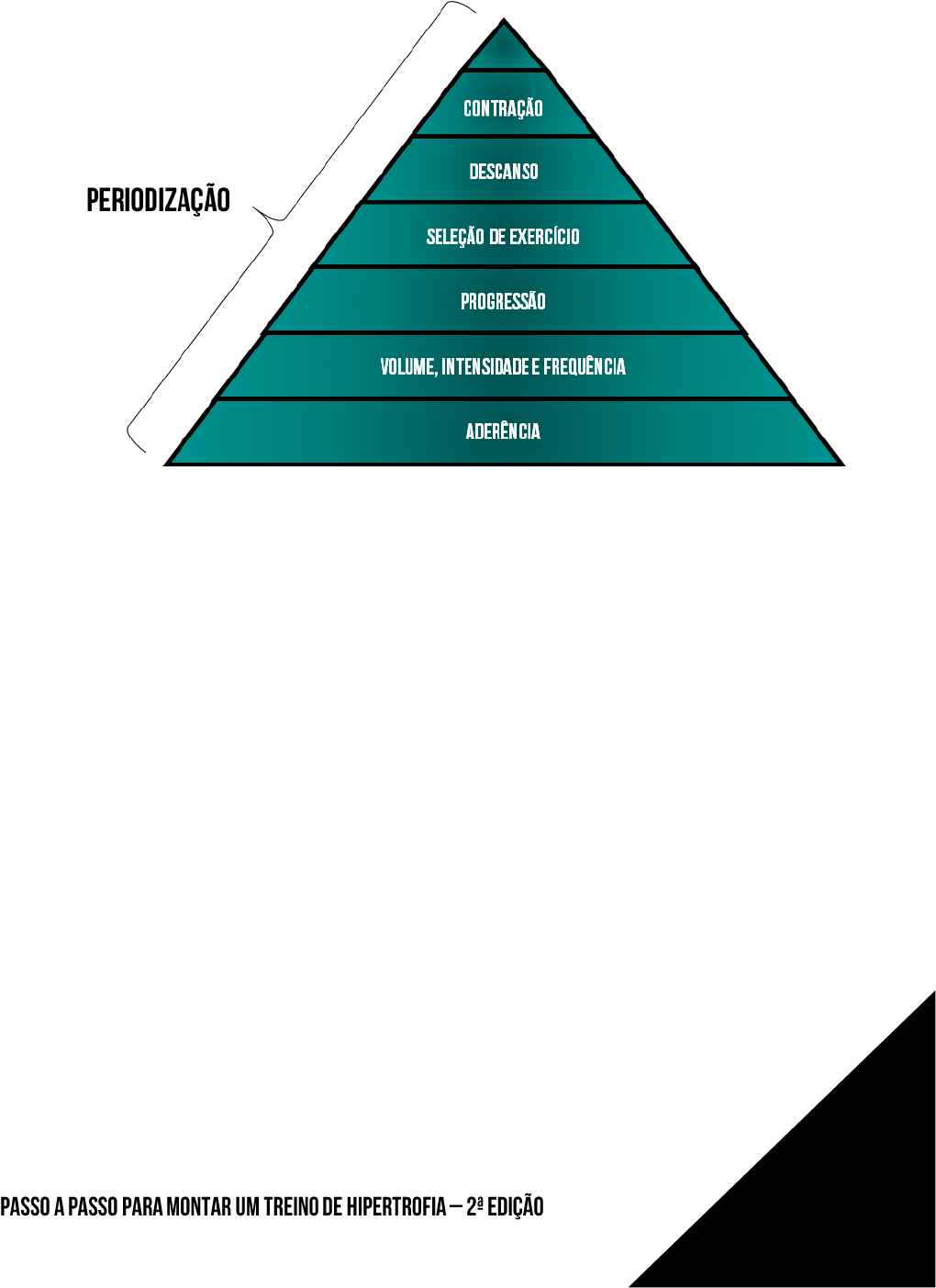 Drop set x pirâmide: entenda o que são e qual se encaixa melhor no seu  treino, treinos